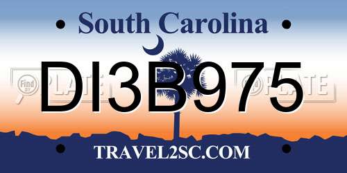 DI3B975 South Carolina License Plate