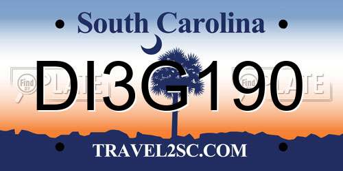 DI3G190 South Carolina License Plate