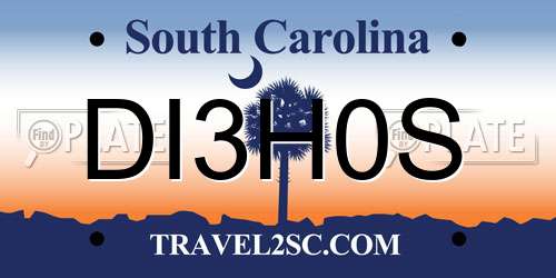 DI3H0S South Carolina License Plate