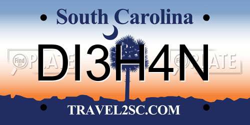 DI3H4N South Carolina License Plate