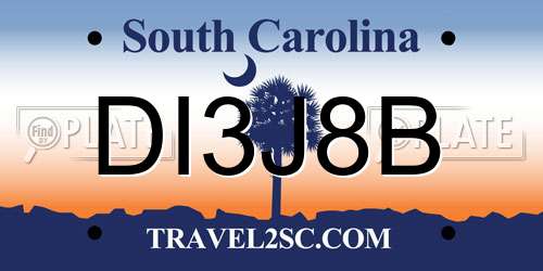 DI3J8B South Carolina License Plate
