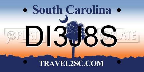 DI3J8S South Carolina License Plate