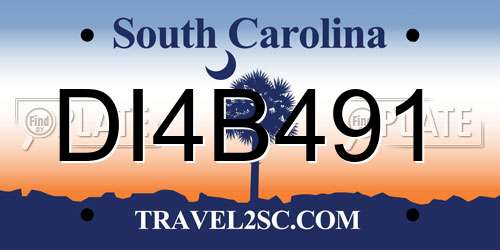 DI4B491 South Carolina License Plate