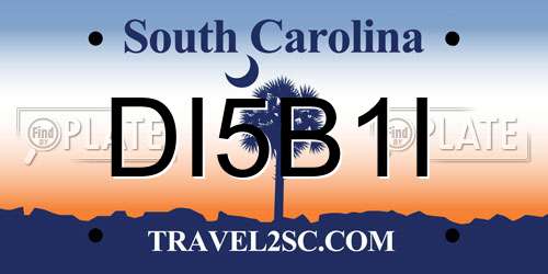 DI5B1I South Carolina License Plate