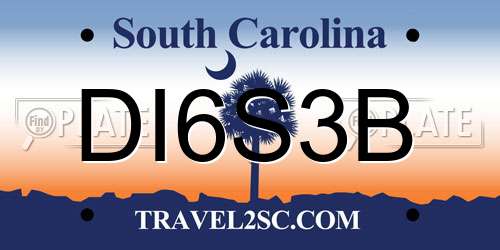 DI6S3B South Carolina License Plate