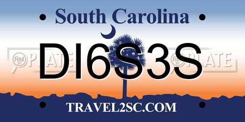 DI6S3S South Carolina License Plate
