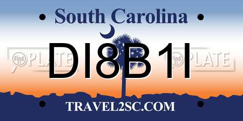 DI8B1I South Carolina License Plate
