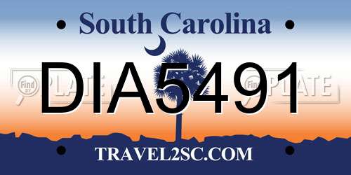 DIA5491 South Carolina License Plate