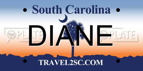 DIANE South Carolina License Plate