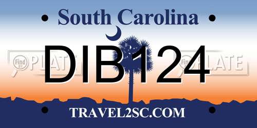 DIB124 South Carolina License Plate
