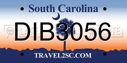 DIB3056 South Carolina License Plate