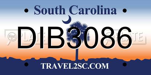 DIB3086 South Carolina License Plate