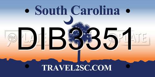 DIB3351 South Carolina License Plate