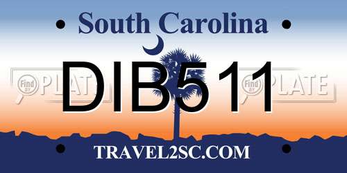 DIB511 South Carolina License Plate