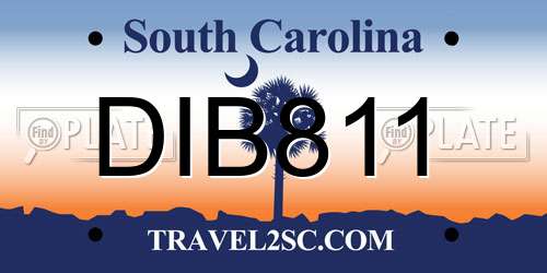 DIB811 South Carolina License Plate