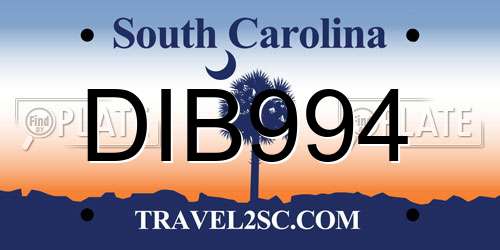 DIB994 South Carolina License Plate