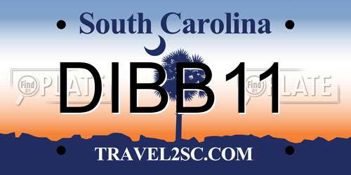 DIBB11 South Carolina License Plate