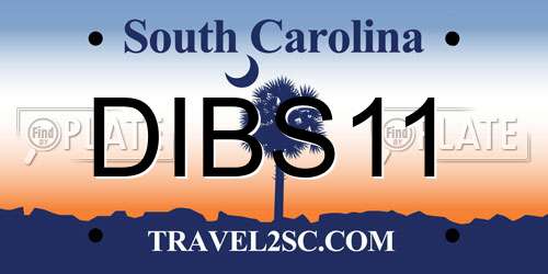 DIBS11 South Carolina License Plate