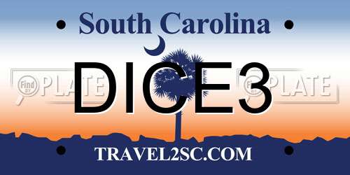 DICE3 South Carolina License Plate