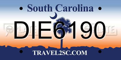 DIE6190 South Carolina License Plate