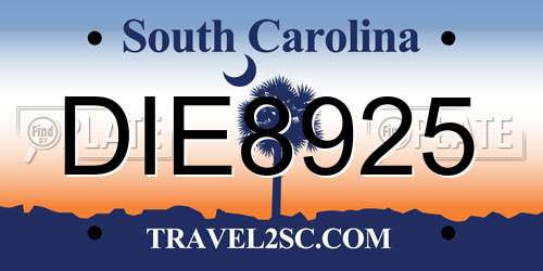 DIE8925 South Carolina License Plate