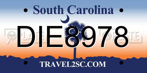 DIE8978 South Carolina License Plate