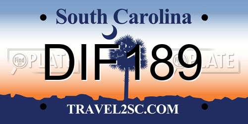 DIF189 South Carolina License Plate