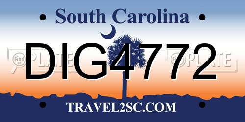 DIG4772 South Carolina License Plate
