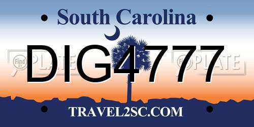 DIG4777 South Carolina License Plate