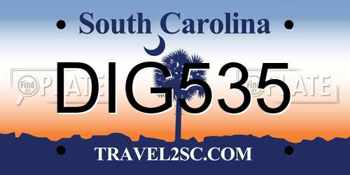 DIG535 South Carolina License Plate
