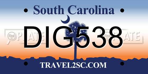 DIG538 South Carolina License Plate