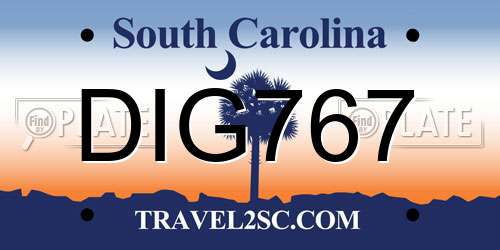DIG767 South Carolina License Plate