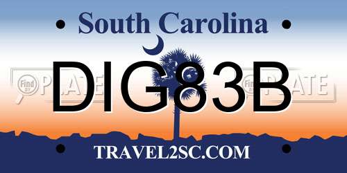DIG83B South Carolina License Plate