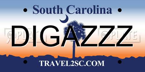 DIGAZZZ South Carolina License Plate