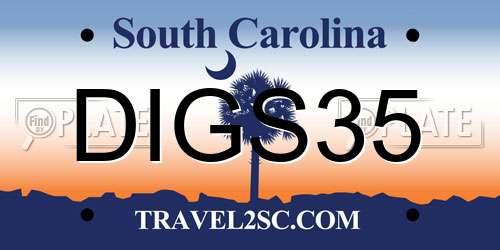 DIGS35 South Carolina License Plate