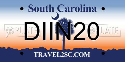 DIIN20 South Carolina License Plate