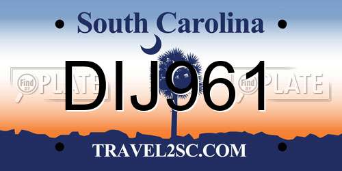 DIJ961 South Carolina License Plate