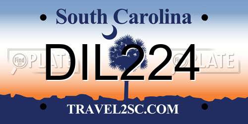 DIL224 South Carolina License Plate