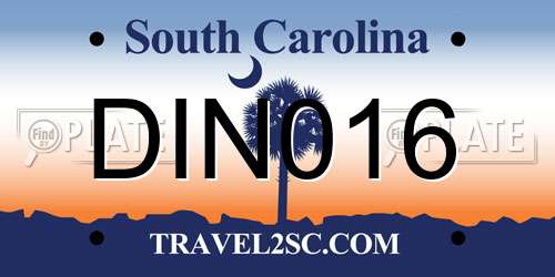 DIN016 South Carolina License Plate
