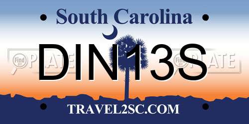 DIN13S South Carolina License Plate