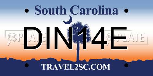 DIN14E South Carolina License Plate