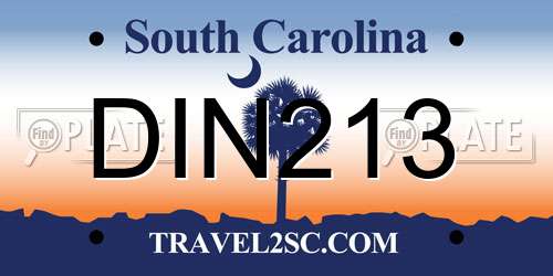 DIN213 South Carolina License Plate
