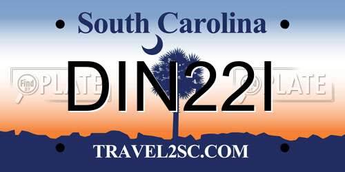 DIN22I South Carolina License Plate