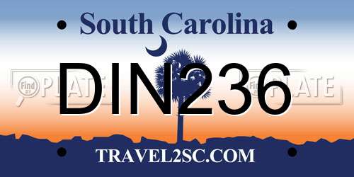 DIN236 South Carolina License Plate