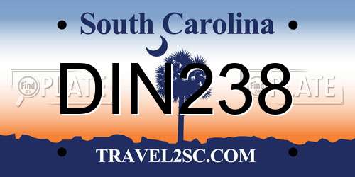 DIN238 South Carolina License Plate
