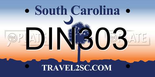 DIN303 South Carolina License Plate