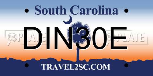 DIN30E South Carolina License Plate