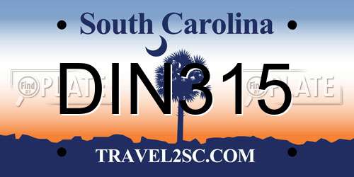DIN315 South Carolina License Plate