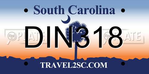 DIN318 South Carolina License Plate
