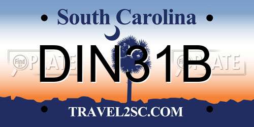 DIN31B South Carolina License Plate